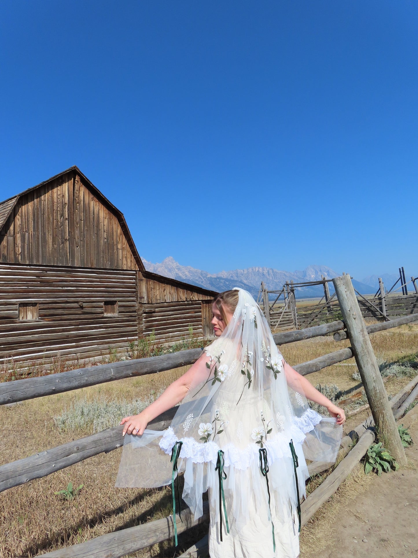 Montana Veil