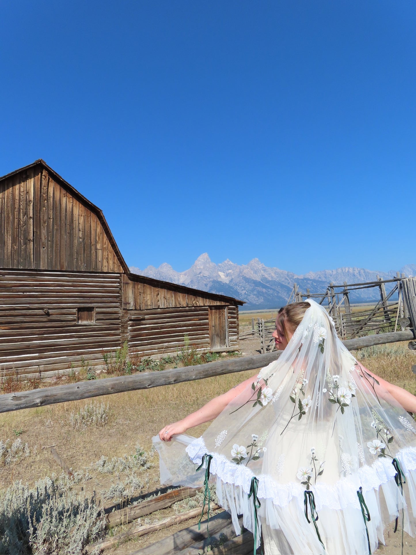 Montana Veil