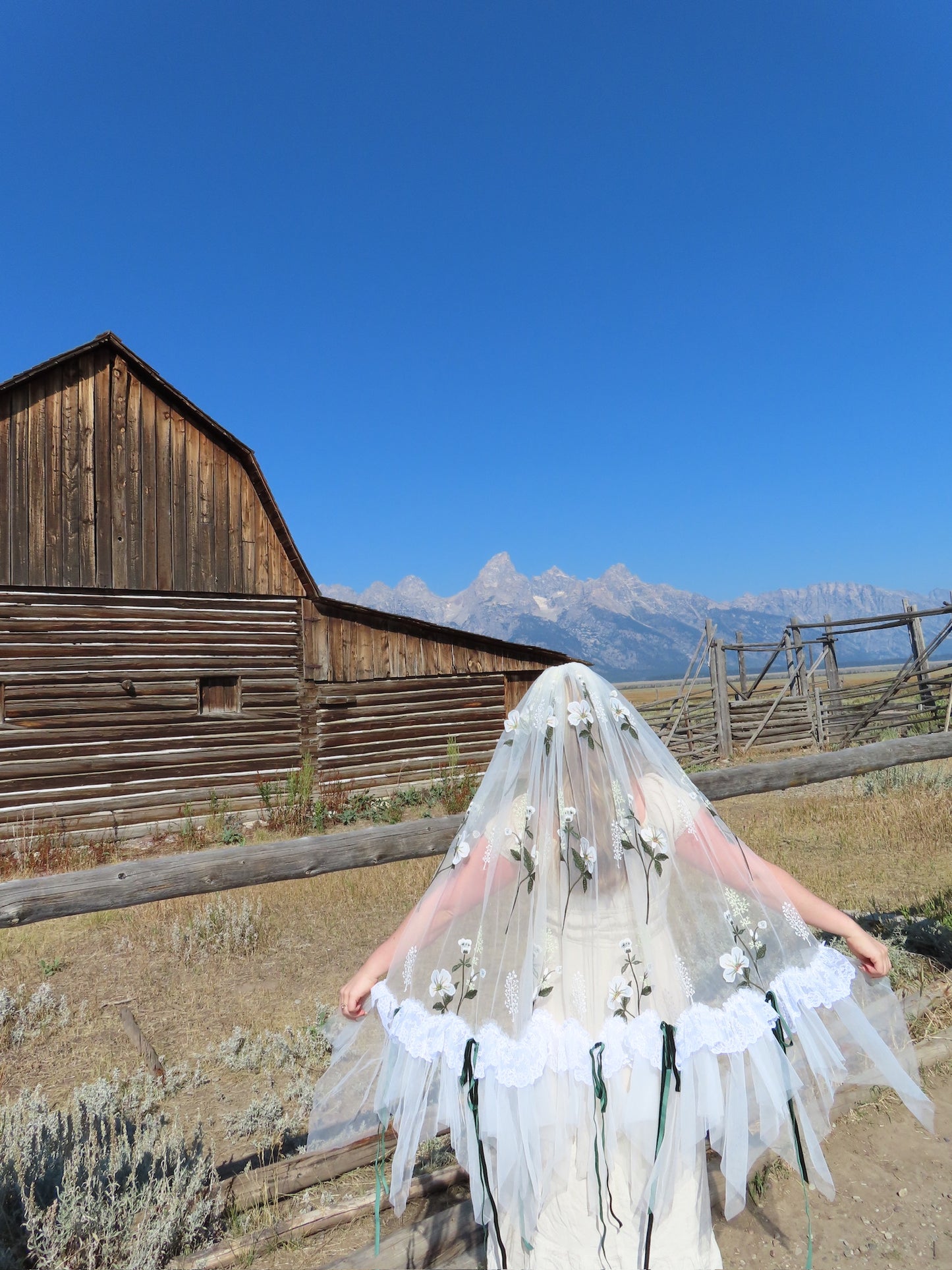 Montana Veil