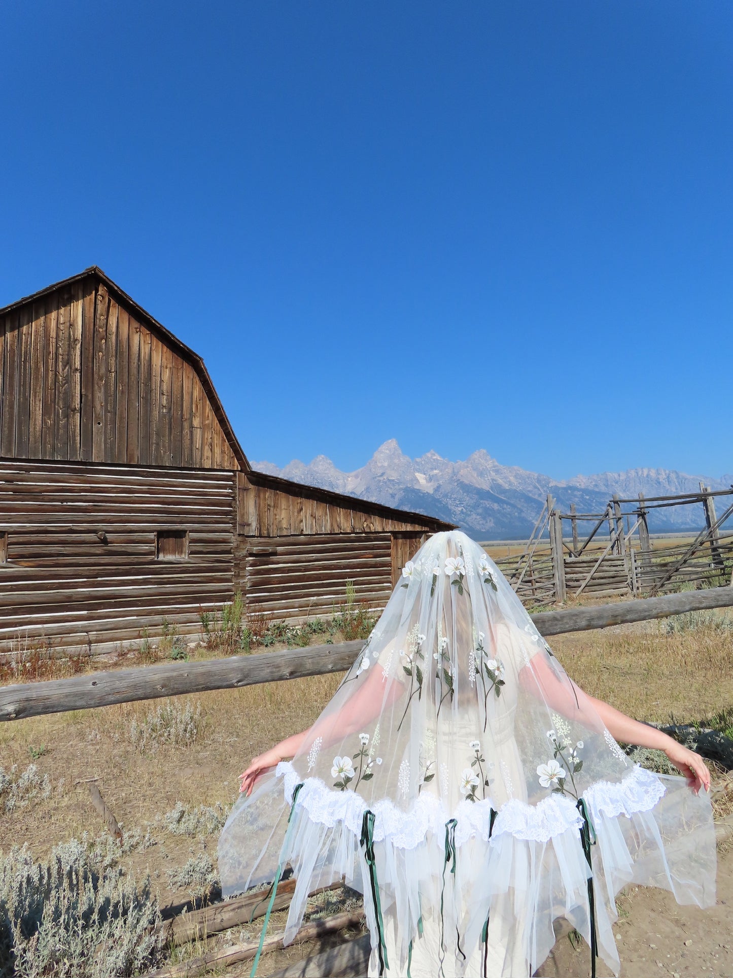 Montana Veil