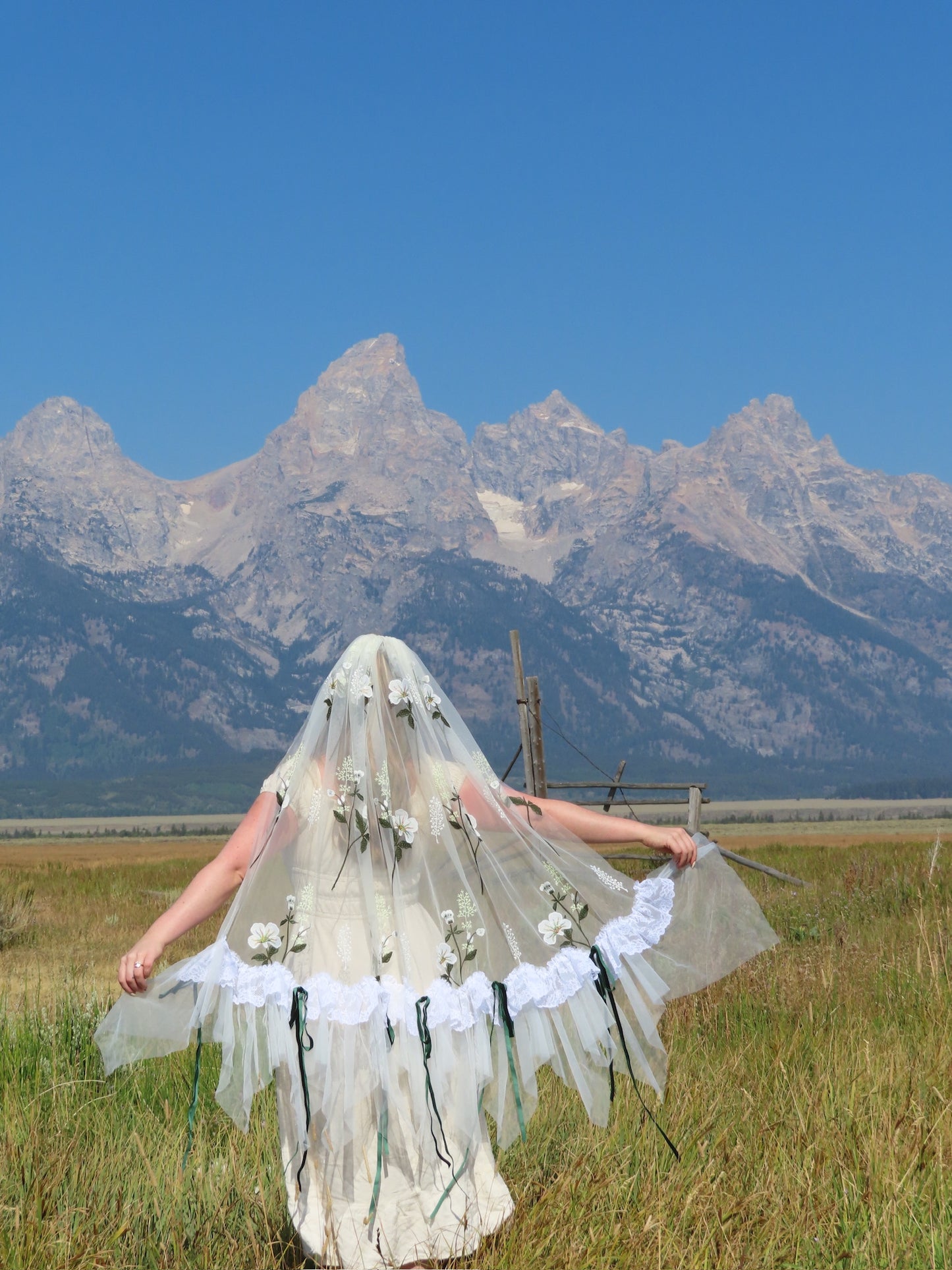 Montana Veil