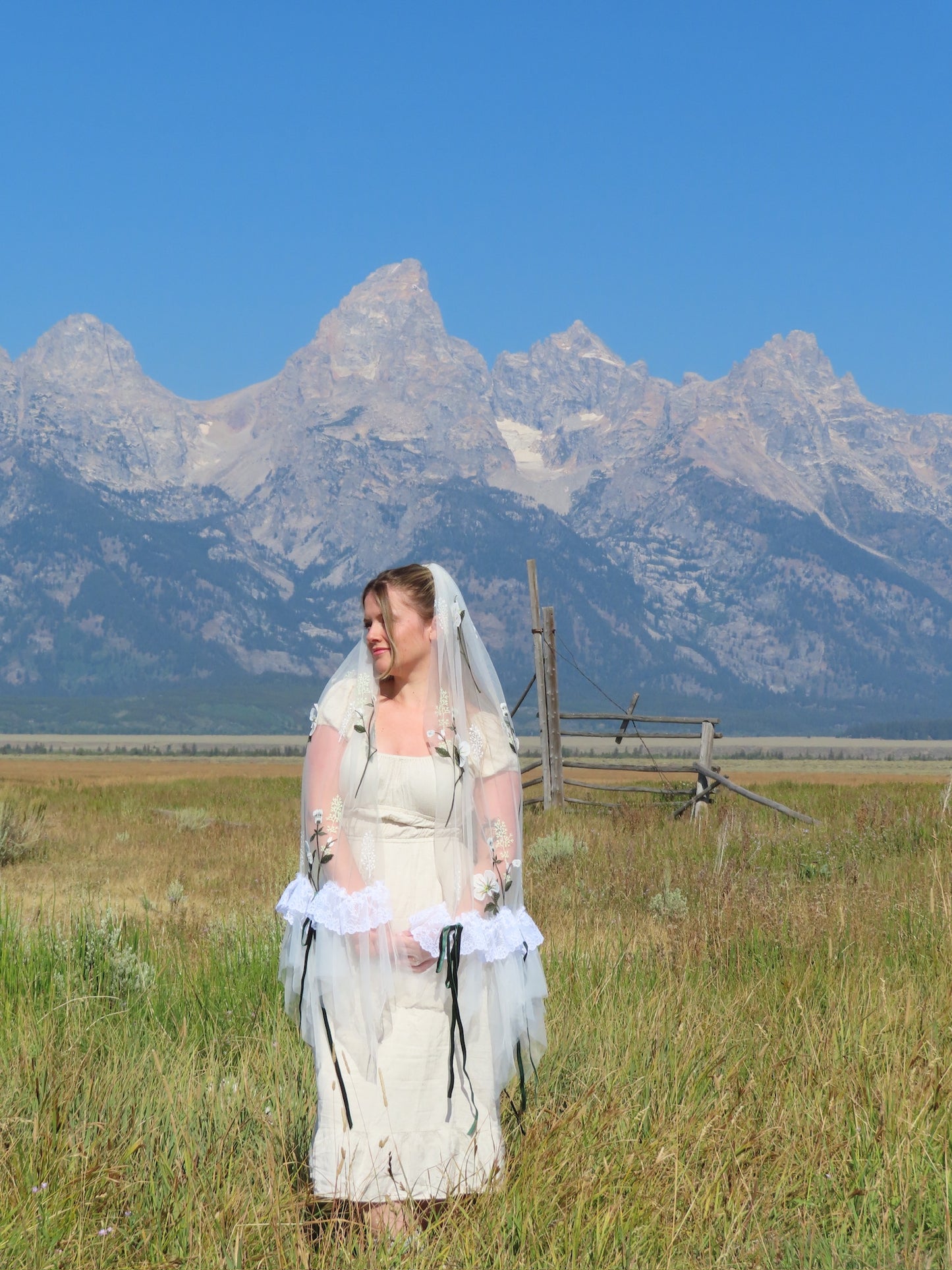 Montana Veil