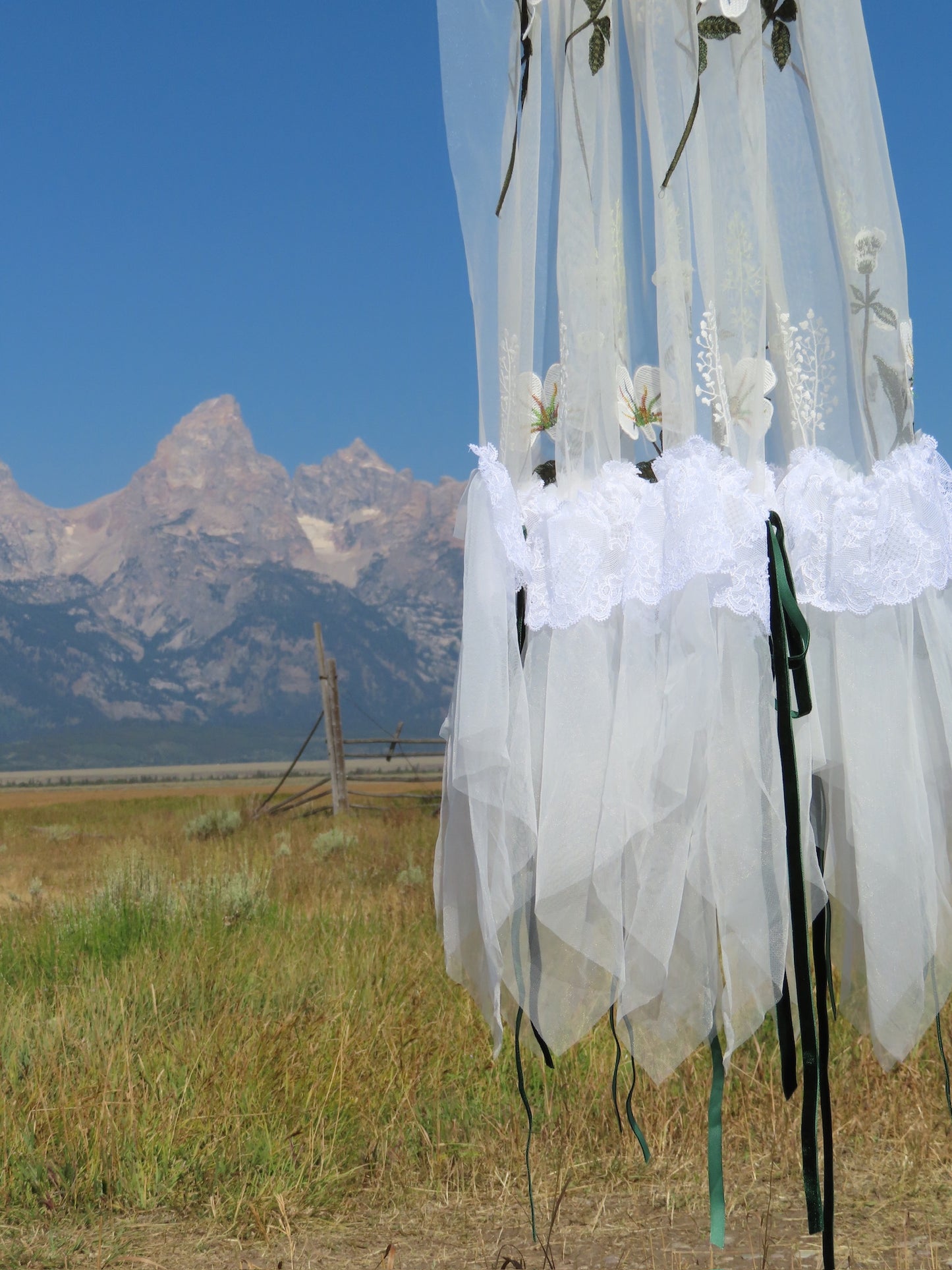 Montana Veil