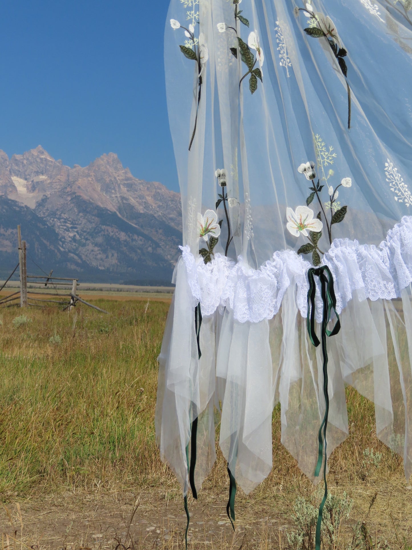 Montana Veil