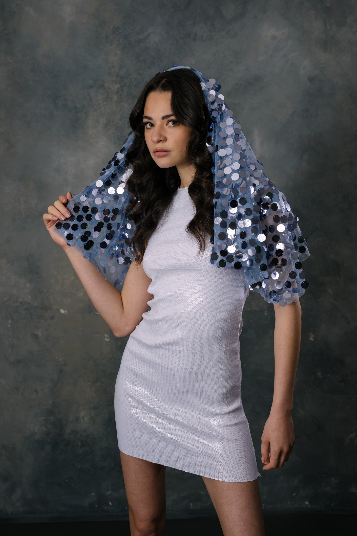 Cher Veil