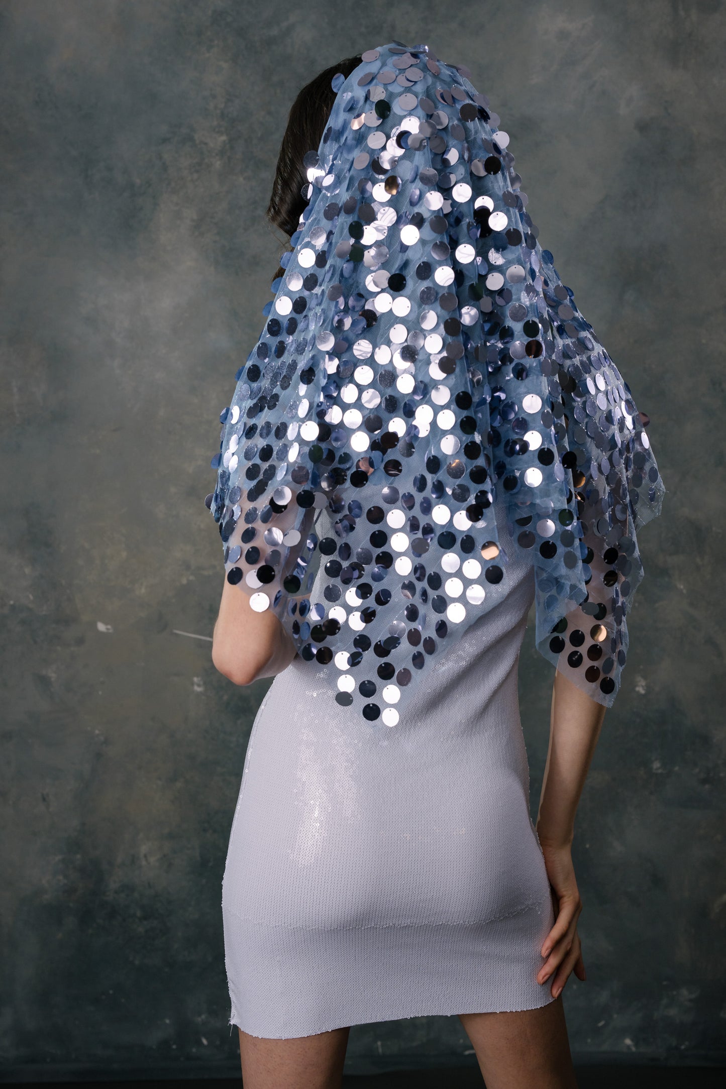 Cher Veil