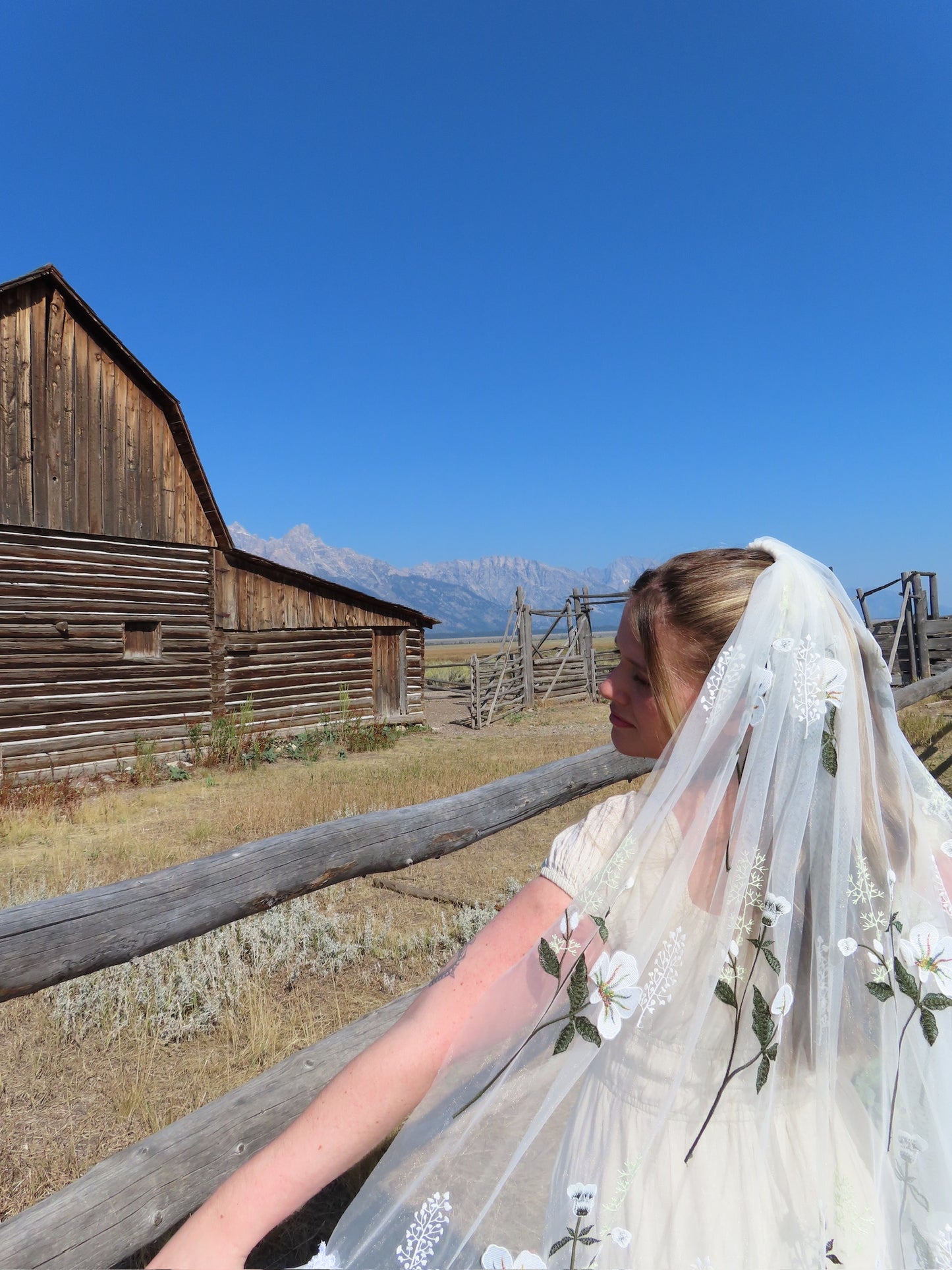Montana Veil