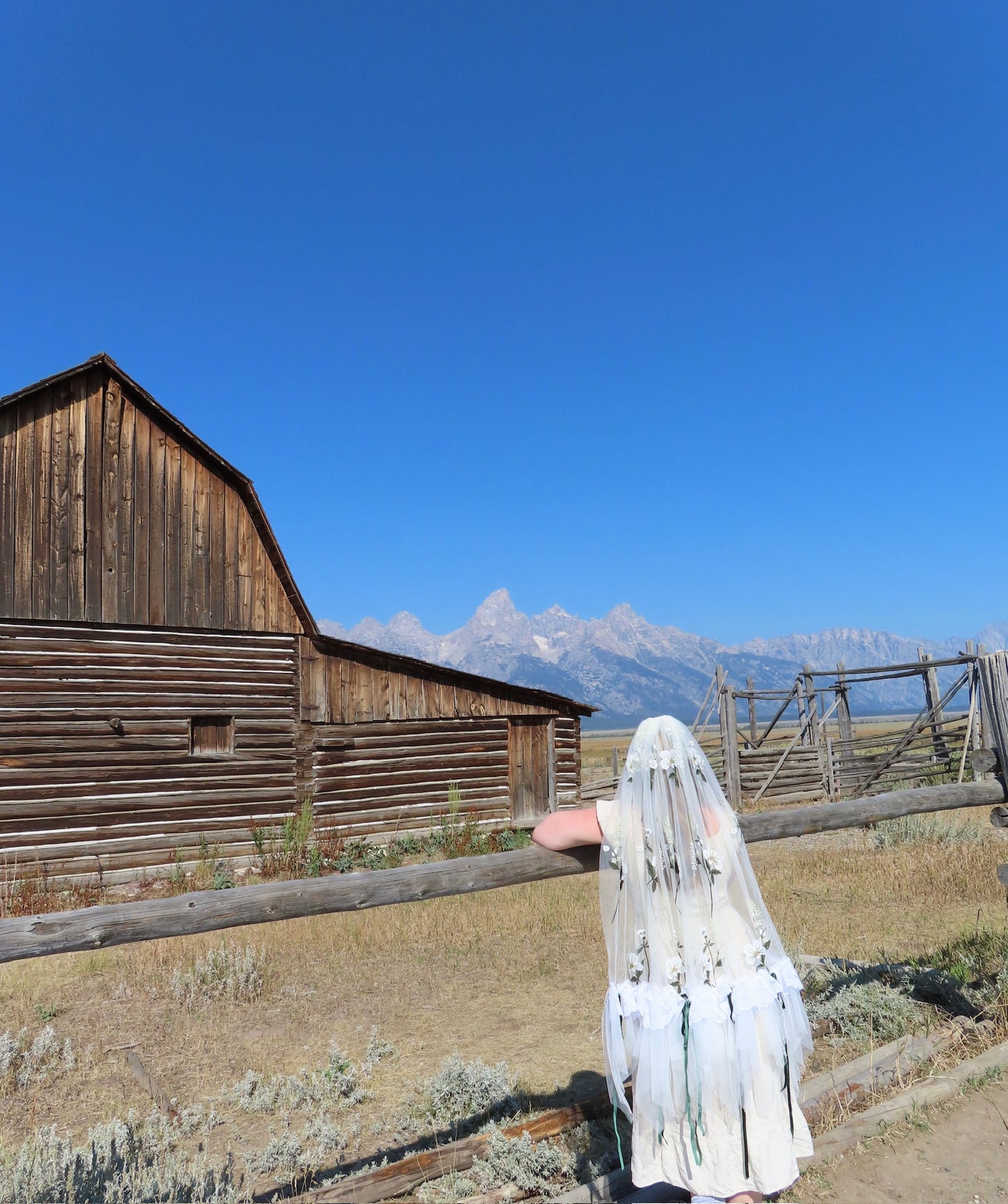 Montana Veil