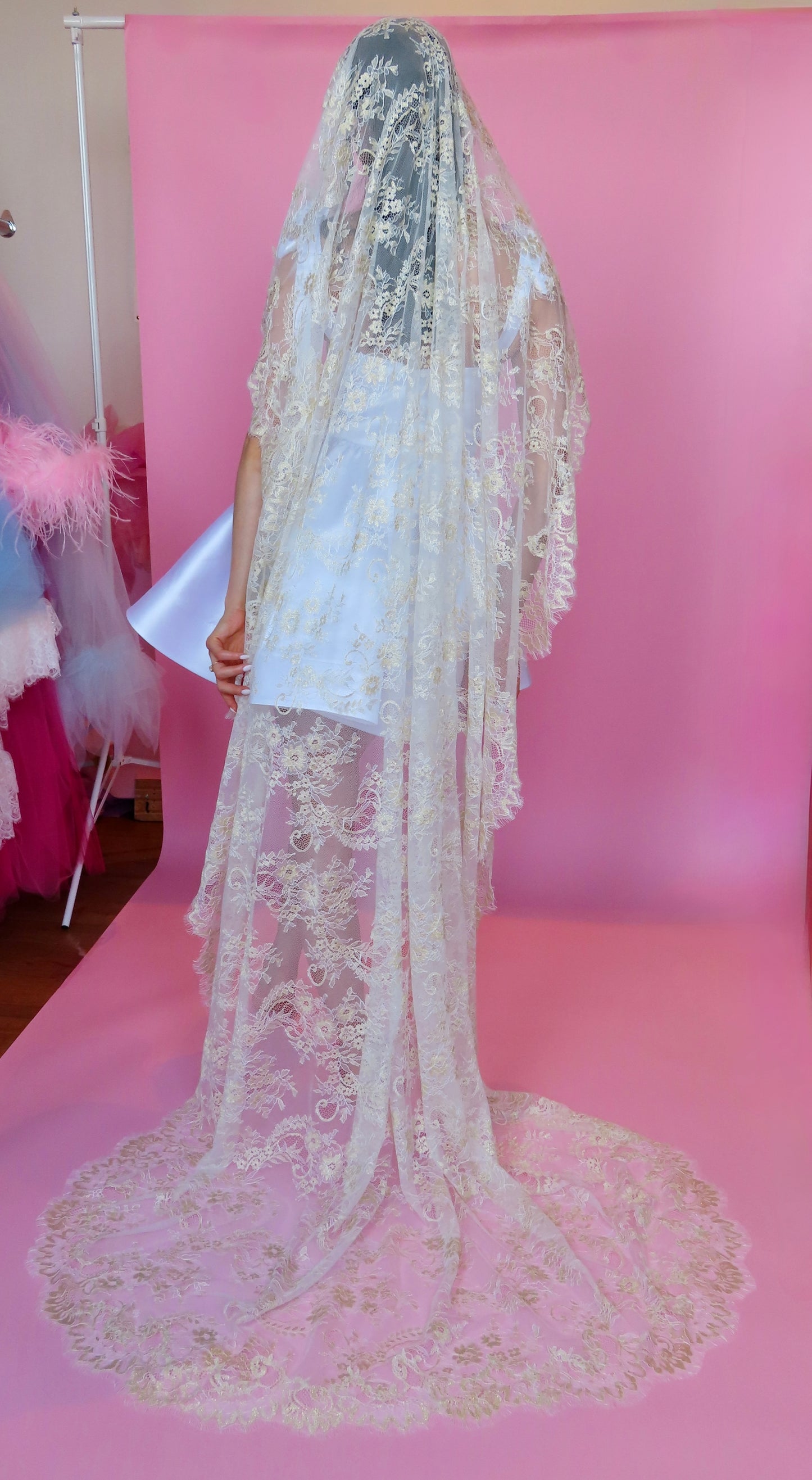 Aurelia Veil